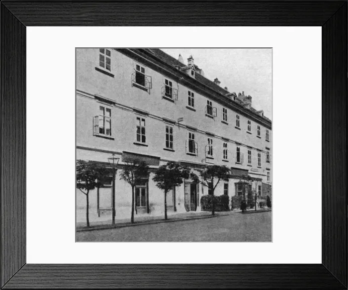 Framed Print : Beethoven / Home Vienna Framed Print : Beethoven / Home Vienna