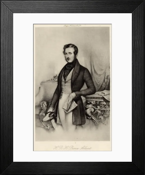 Framed Print : Alberts Greyhound Eos Framed Print : Alberts Greyhound Eos