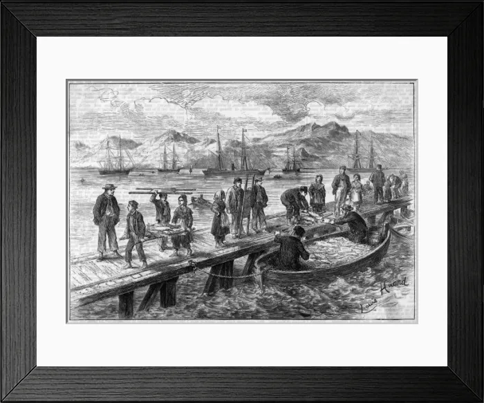 Framed Print : Picture No. 10082205 Framed Print : Picture No. 10082205