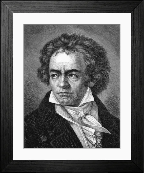Framed Print : Beethoven (Close) Framed Print : Beethoven (Close)