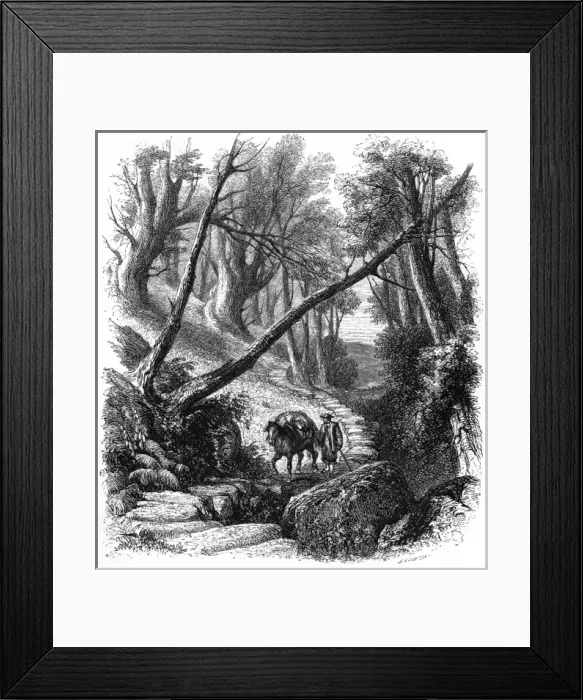 Framed Print : Pack Horse, Yorkshire Framed Print : Pack Horse, Yorkshire