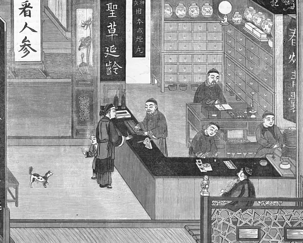 Chinese Pharmacy 1864
