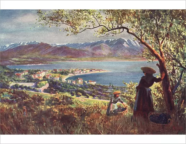 Corsica  /  Ajaccio 1909