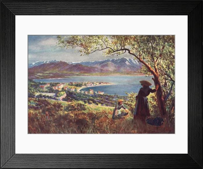 Framed Print : Corsica / Ajaccio 1909 Framed Print : Corsica / Ajaccio 1909