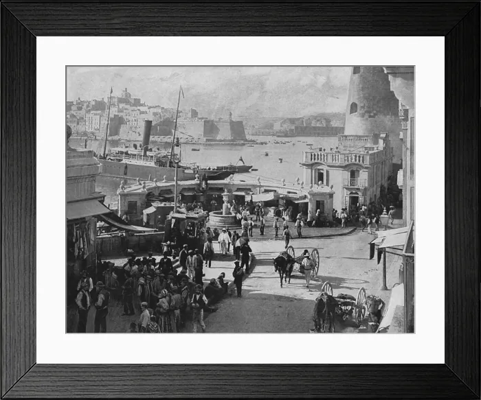 Framed Print : Malta / Valletta Fish 1897 Framed Print : Malta / Valletta Fish 1897
