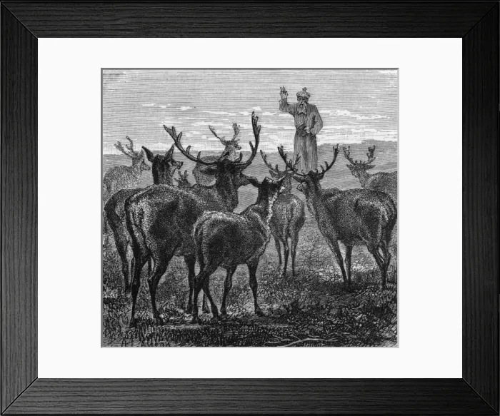 Framed Print : Blaise Blesses Deer Framed Print : Blaise Blesses Deer