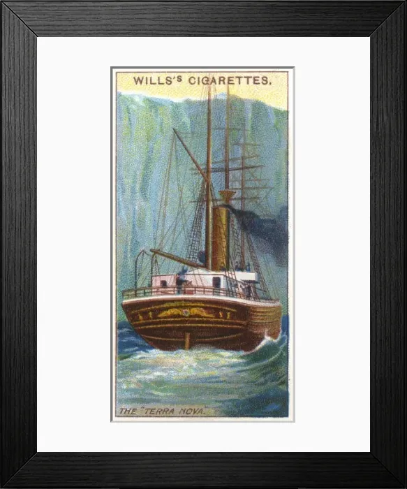 Framed Print : Terra Nova Steamship Framed Print : Terra Nova Steamship