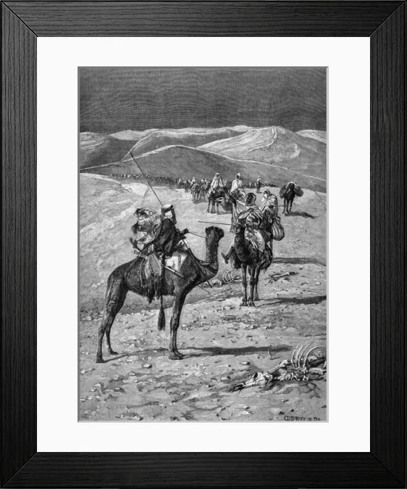 Framed Print : Camel Caravan Desert