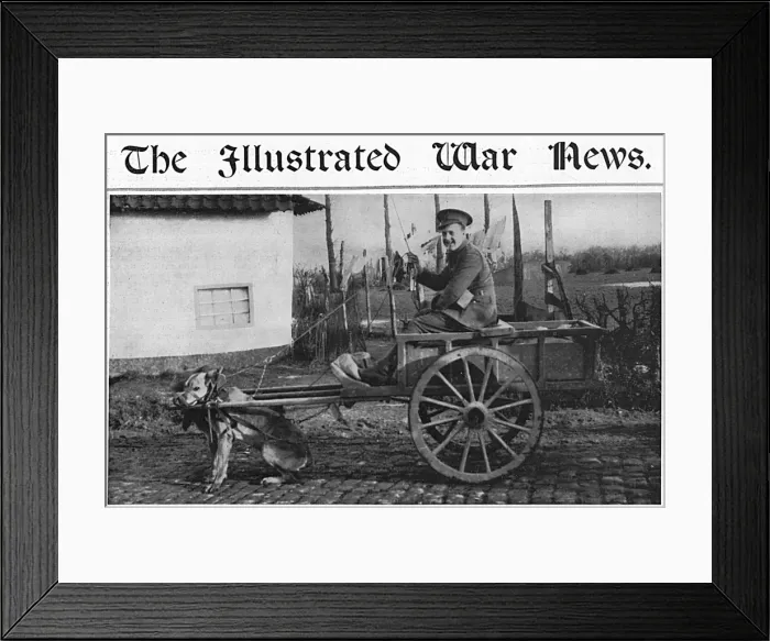 Framed Print : Picture No. 10138277 Framed Print : Picture No. 10138277