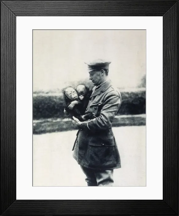 Framed Print : Picture No. 10140182 Framed Print : Picture No. 10140182