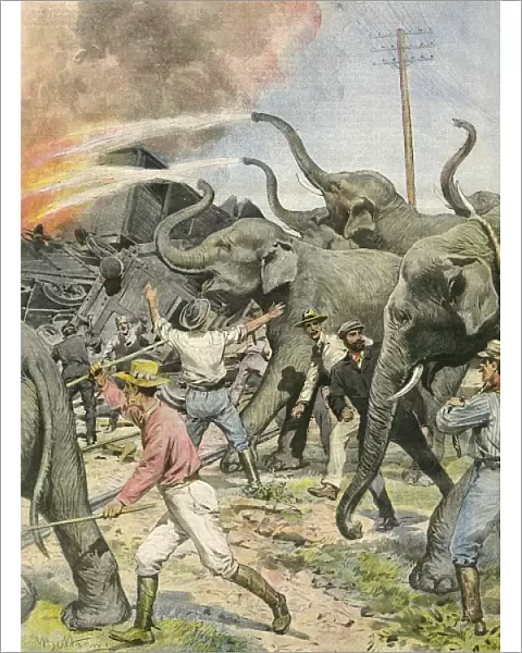 Working Elephants 1907