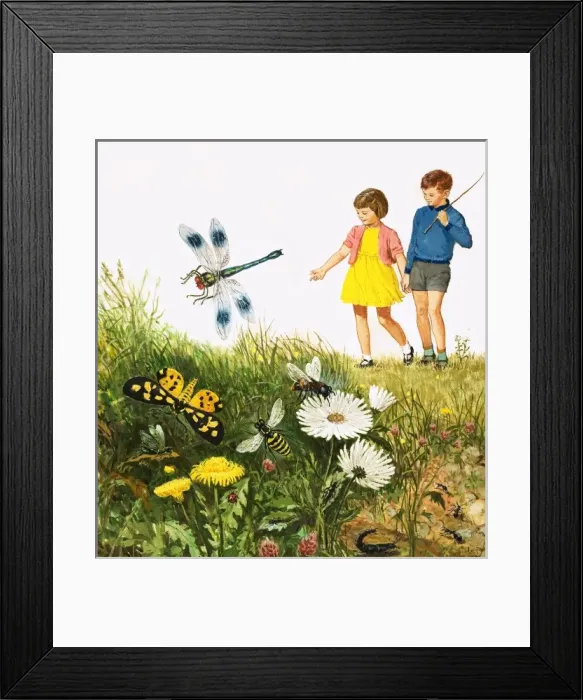 Framed Print : i for insects Framed Print : i for insects