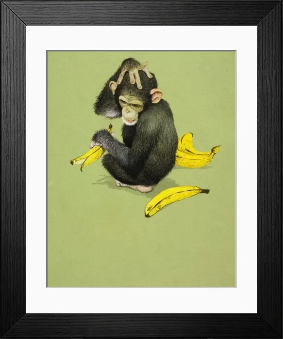 Framed Print : Chimpanzee with Bananas Framed Print : Chimpanzee with Bananas