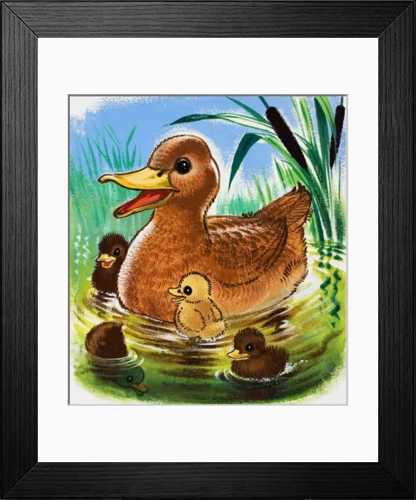Framed Print : Ducks Framed Print : Ducks