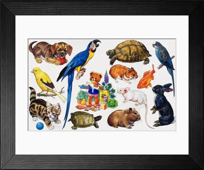 Framed Print : Animal montage Framed Print : Animal montage