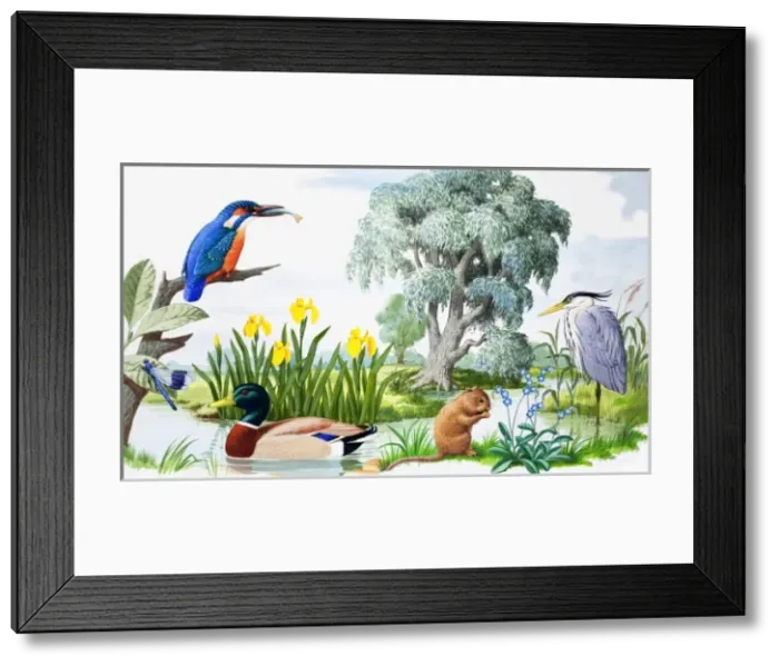 Framed Print : By the Stream Framed Print : By the Stream