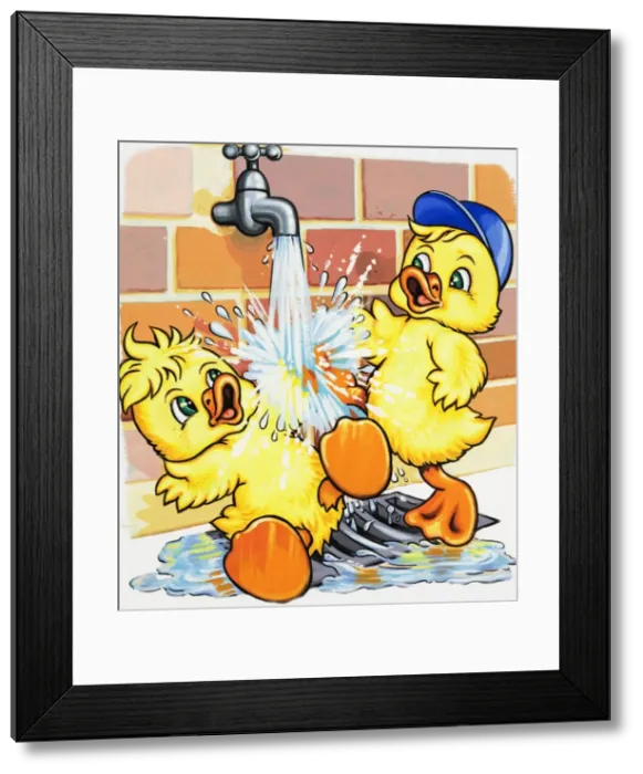 Framed Print : Ducklings discover how to use a tap Framed Print : Ducklings discover how to use a tap