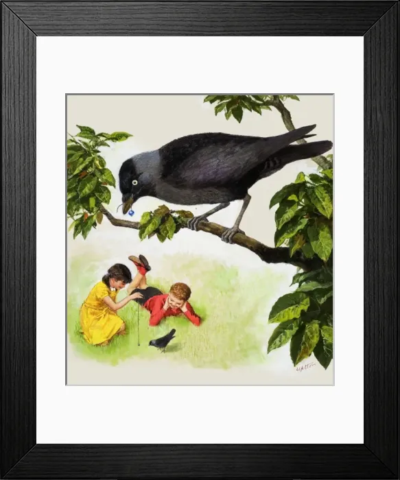 Framed Print : Jackdaw. Jackdaw shows a boy and girl teasing one bird with a silver bead Framed Print : Jackdaw. Jackdaw shows a boy and girl teasing one bird with a silver bead