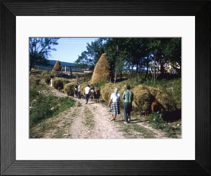 Framed Print : Scene on a country lane, Yugoslavia Framed Print : Scene on a country lane, Yugoslavia