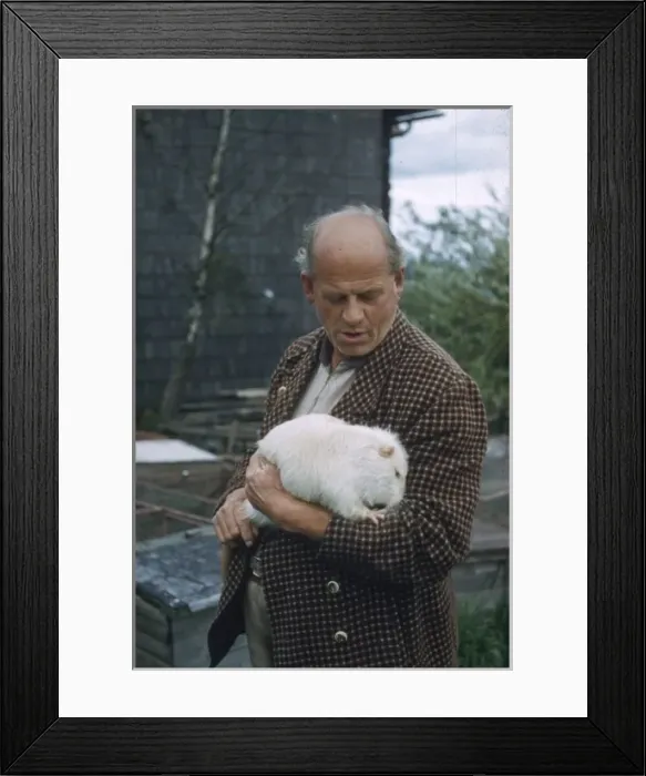 Framed Print : Man with white coypu Framed Print : Man with white coypu