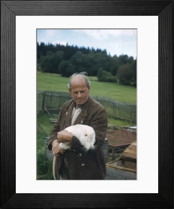 Framed Print : Man with white coypu Framed Print : Man with white coypu