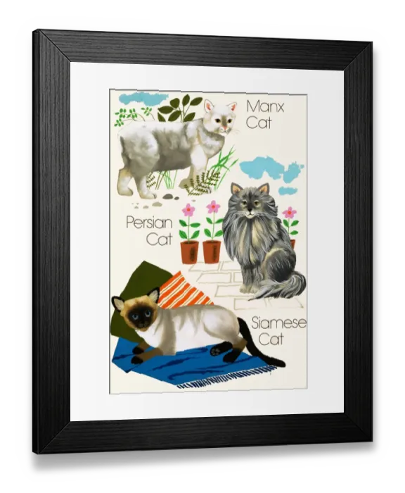 Framed Print : Domestic cats Framed Print : Domestic cats