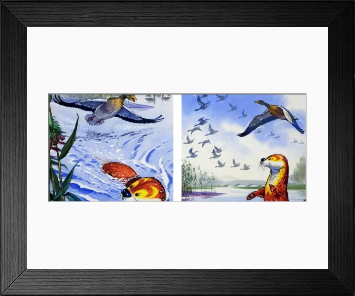Framed Print : Fliptail the Otter Framed Print : Fliptail the Otter