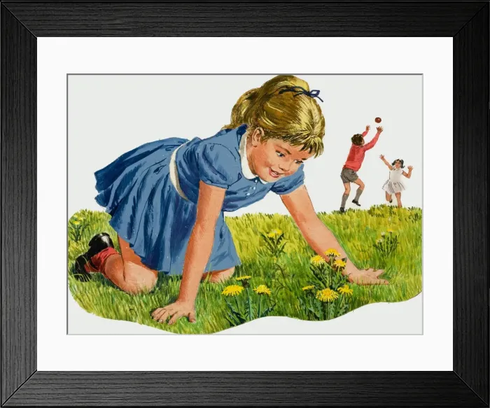 Framed Print : The Dandelion Framed Print : The Dandelion