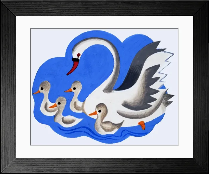 Framed Print : Swan and cygnets Framed Print : Swan and cygnets