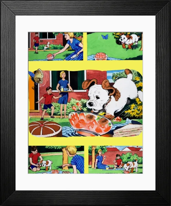 Framed Print : Paddy Paws Framed Print : Paddy Paws