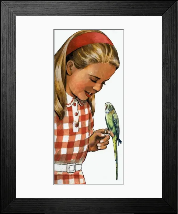 Framed Print : Girl with budgerigar