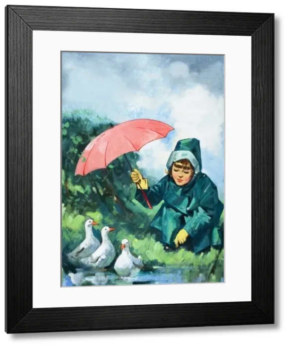 Framed Print : Ducks in the rain Framed Print : Ducks in the rain