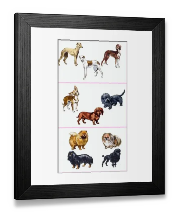 Framed Print : Dogs montage Framed Print : Dogs montage