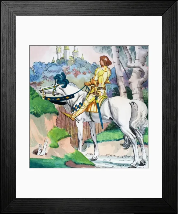 Framed Print : The sleeping court Framed Print : The sleeping court