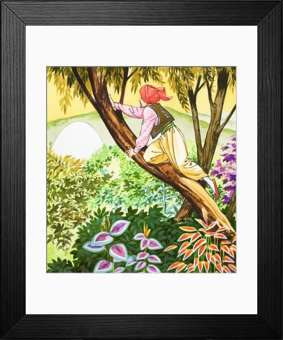 Framed Print : Sinbad the Sailor Framed Print : Sinbad the Sailor