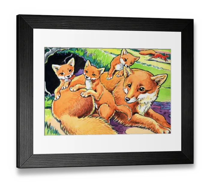 Framed Print : Little Red Squirrel Framed Print : Little Red Squirrel