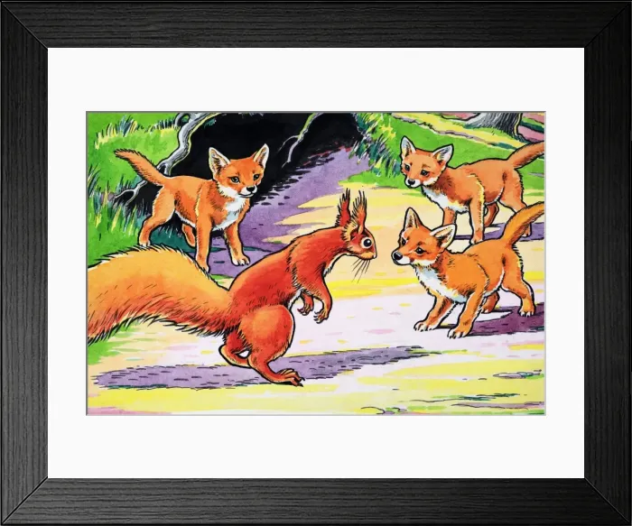 Framed Print : Little Red Squirrel Framed Print : Little Red Squirrel