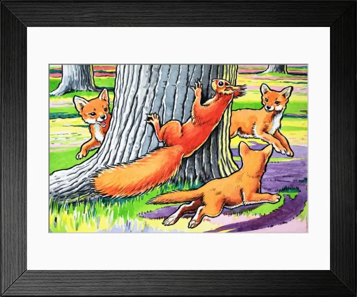 Framed Print : Little Red Squirrel Framed Print : Little Red Squirrel