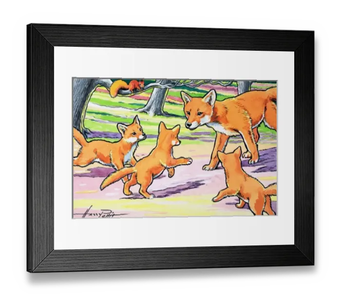 Framed Print : Little Red Squirrel Framed Print : Little Red Squirrel