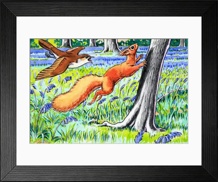 Framed Print : Little Red Squirrel Framed Print : Little Red Squirrel