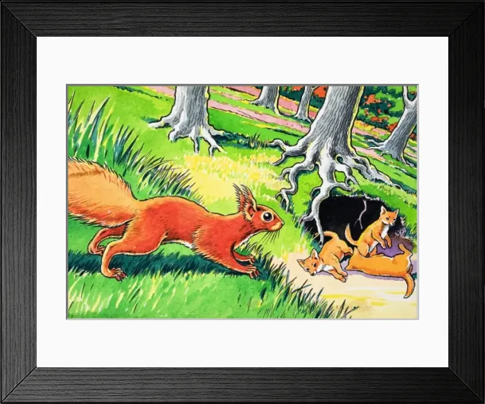 Framed Print : Little Red Squirrel Framed Print : Little Red Squirrel