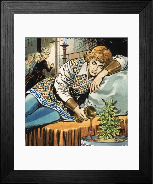 Framed Print : The Dancing Princesses Framed Print : The Dancing Princesses