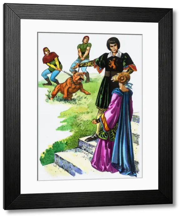 Framed Print : Fairy Tales from Many Lands: The Fairy Lizard Framed Print : Fairy Tales from Many Lands: The Fairy Lizard