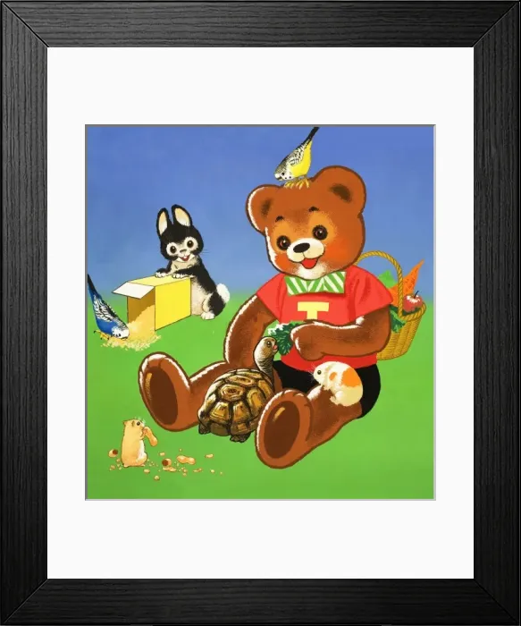 Framed Print : Teddy Bear Framed Print : Teddy Bear