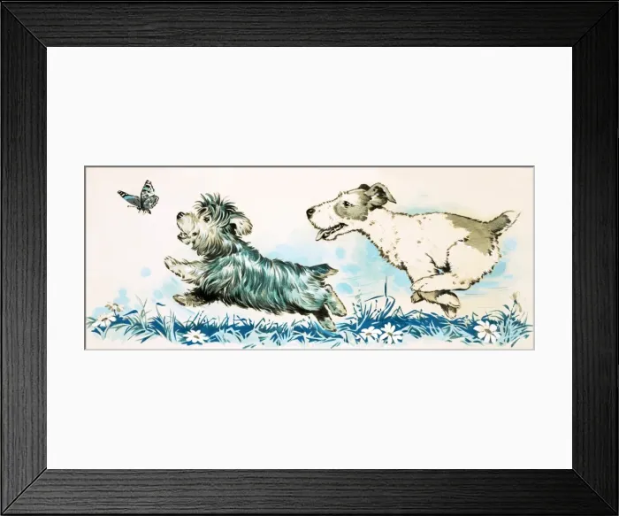 Framed Print : Dogs chasing a butterlfly Framed Print : Dogs chasing a butterlfly