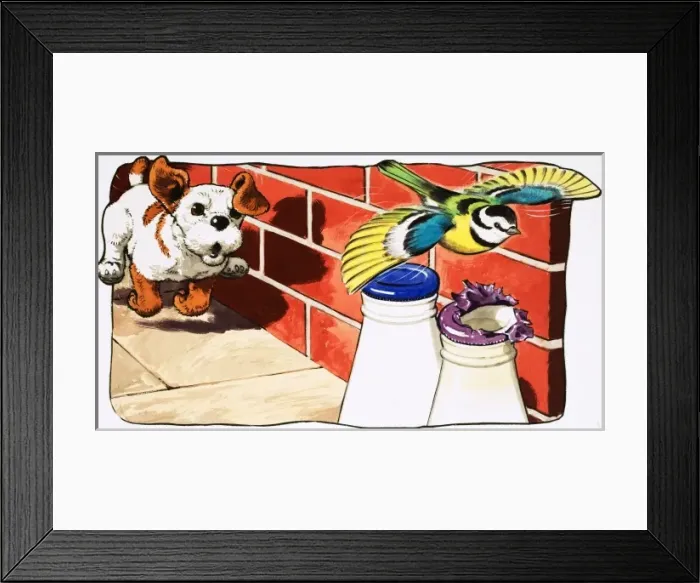 Framed Print : Paddy Paws Framed Print : Paddy Paws