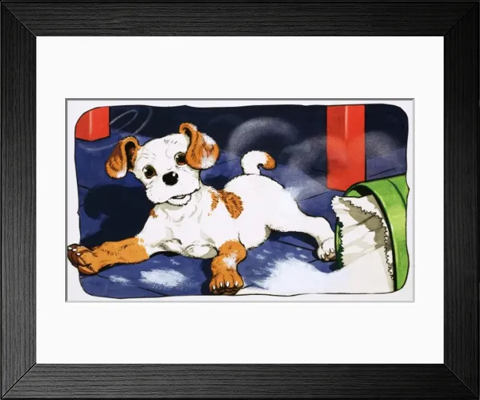Framed Print : Paddy Paws Framed Print : Paddy Paws