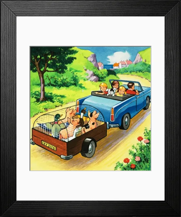 Framed Print : Car pulling a trailer of farmyard animals Framed Print : Car pulling a trailer of farmyard animals