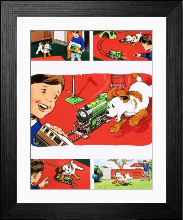 Framed Print : Paddy Paws Framed Print : Paddy Paws