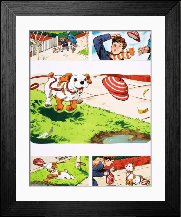 Framed Print : Paddy Paws Framed Print : Paddy Paws